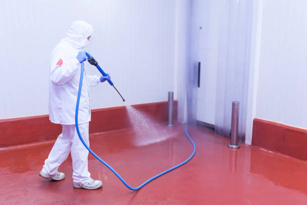 Paint Preparation in Littlerock, CA